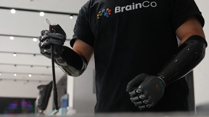 物流与供应链管理的本质区别：解析两大领域的核心差异