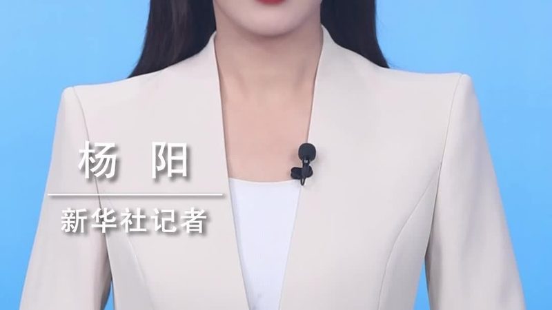 系统集成项目经理与工程师：角色定位与工作内容解析