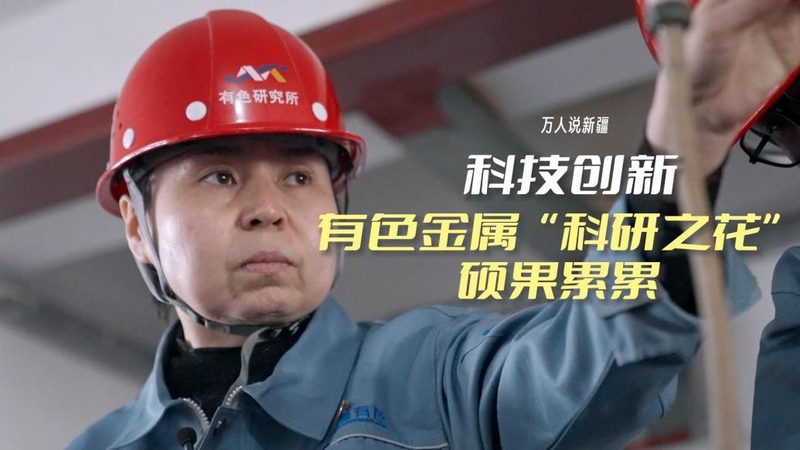 动态数据可视化的关键技术实现路径
